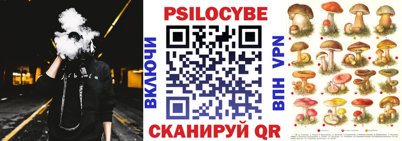 Псилоцибиновые грибы Cubensis  Клинцы 