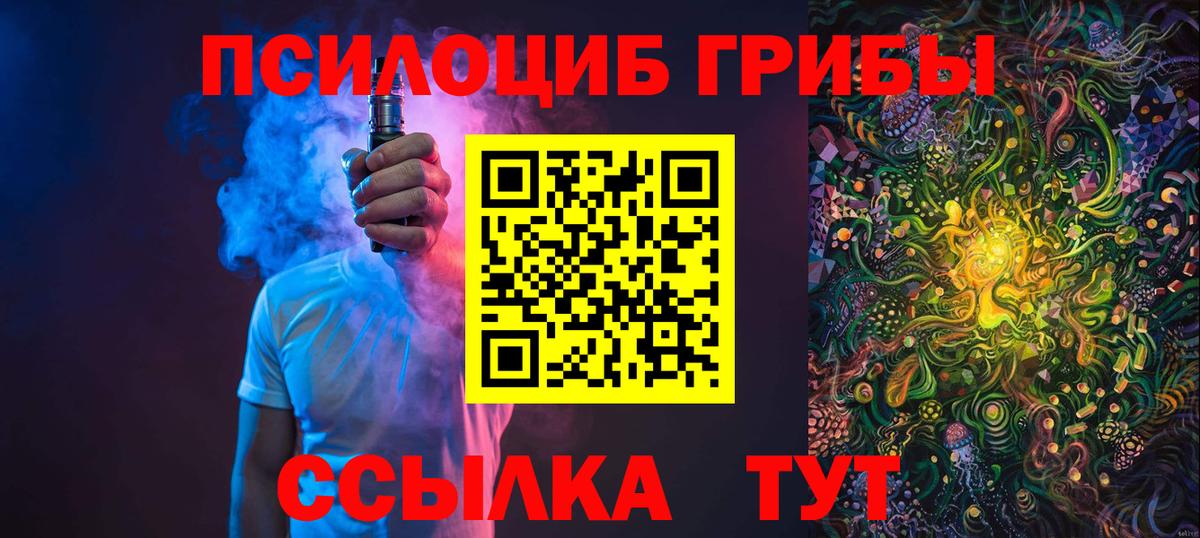 Клинцы  Псилоцибиновые грибы мицелий  Вход с VPN 