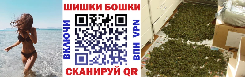 где продают   Клинцы  Канабис ГИДРОПОН 